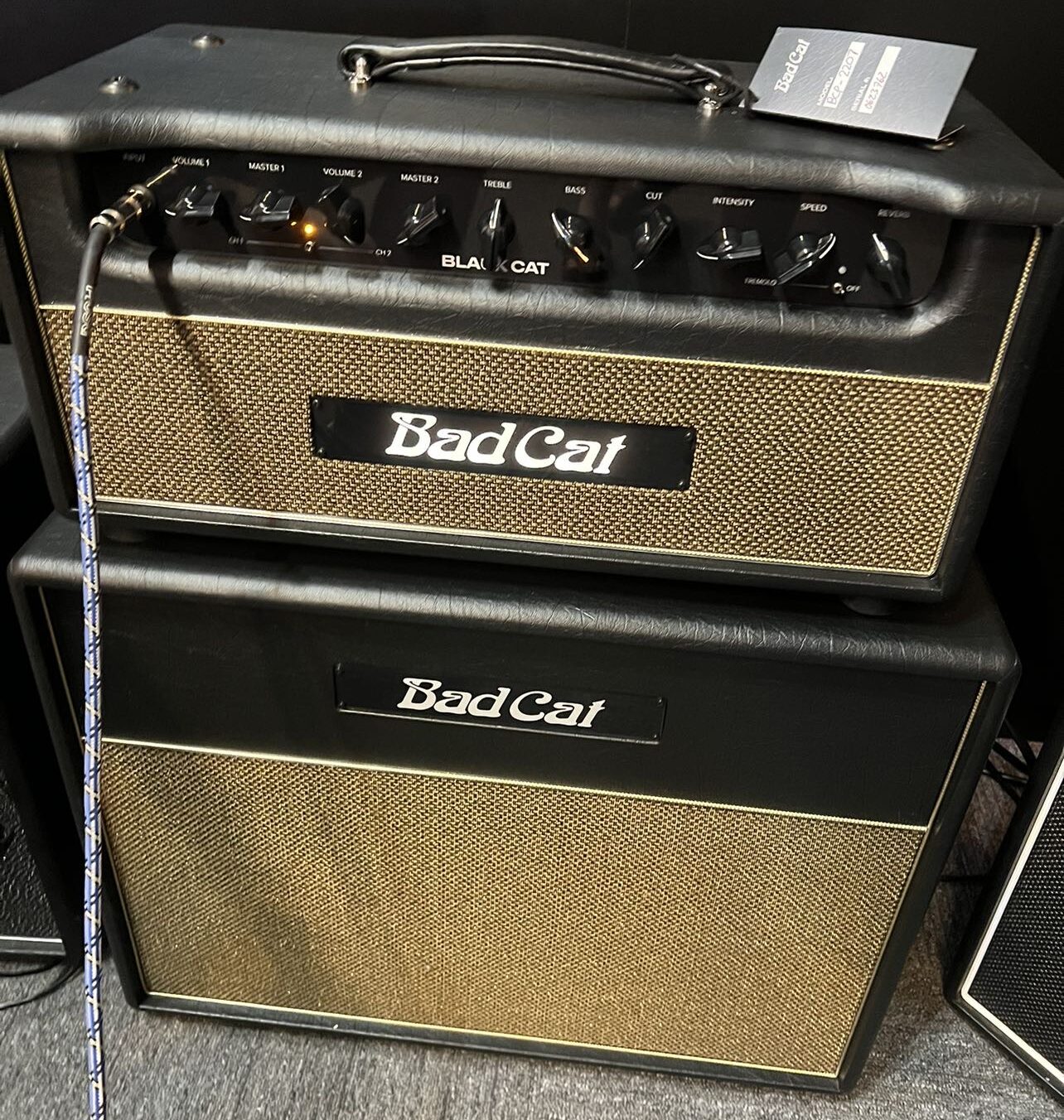 Which Badcat Amplifier is Right For You?